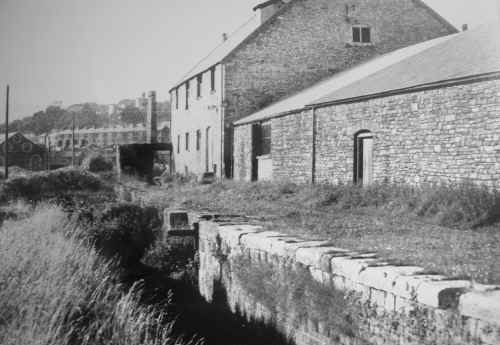 GlamorganshireCanal_TheTanyard.JPG (193300 bytes)