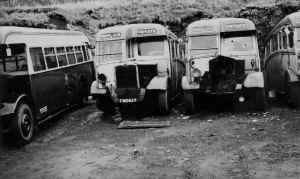 MerthyrTydfil_Buses_FWO629_MorlaisDepot_2-nov-62.JPG (186948 bytes)