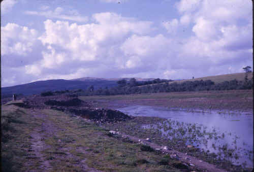 MerthyrTydfil_Gurnos_GoitrePond_Sept-1963_2.JPG (129175 bytes)