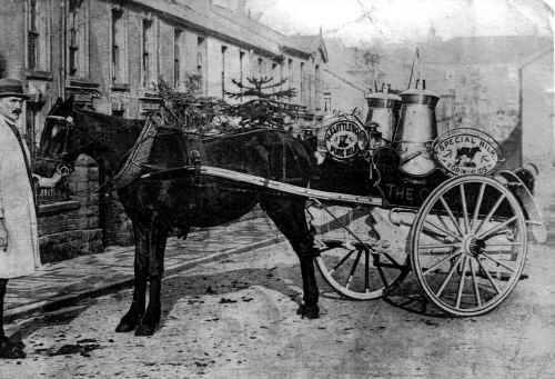 MerthyrTydfil_Town_MrLittlewood_Milkman_Outside44UnionSt.JPG (170372 bytes)