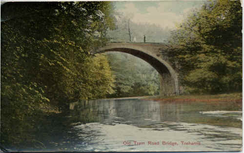 Treharris_OldTramRoadBridge_MrsThomas.JPG (241938 bytes)