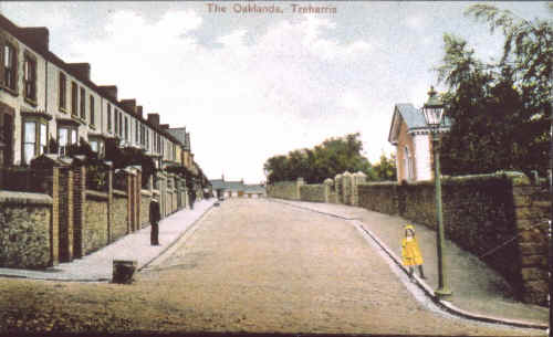 Treharris_TheOaklands.JPG (133309 bytes)